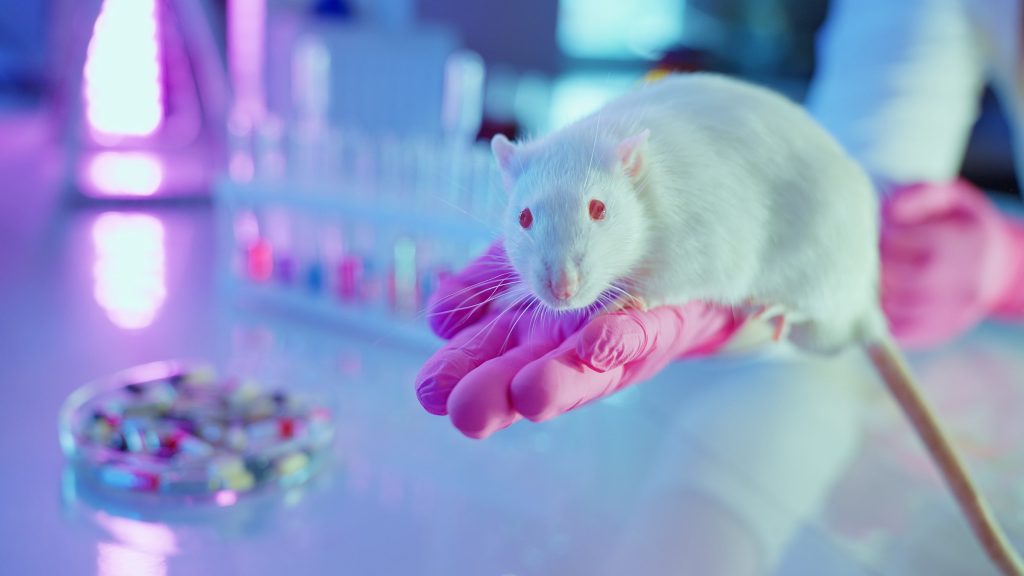 AI Alternatives To Animal Testing Gain Momentum